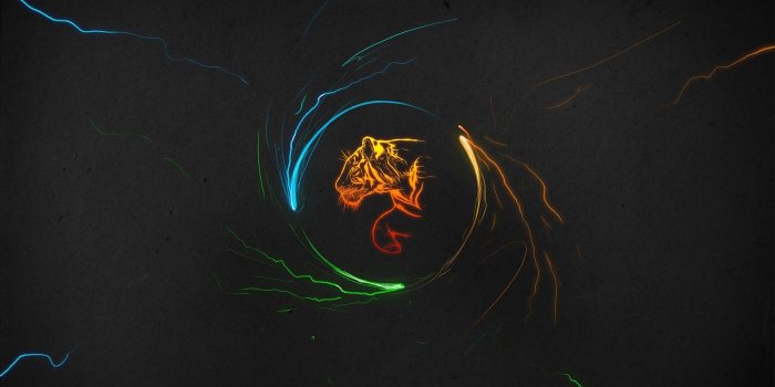 1920x1200 49+] Graphic Wallpapers for Desktop on WallpaperSafari