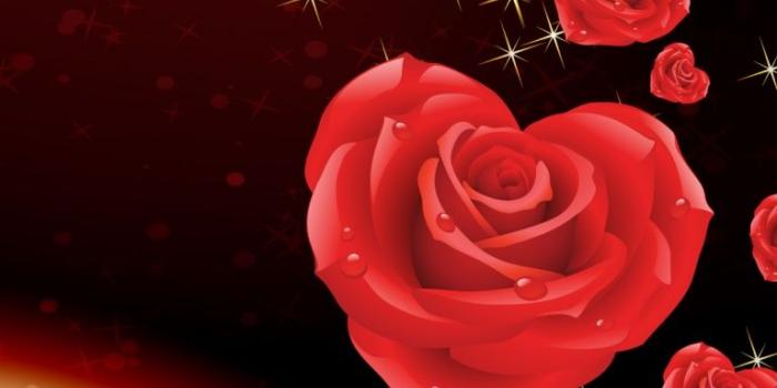 768x1366 768x1366 Love bringing roses Surface rt wallpaper