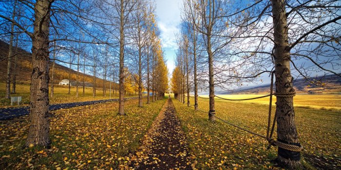 1920x1080 Best Nature Wallpaper: Gorgeous Path 821642 Nature