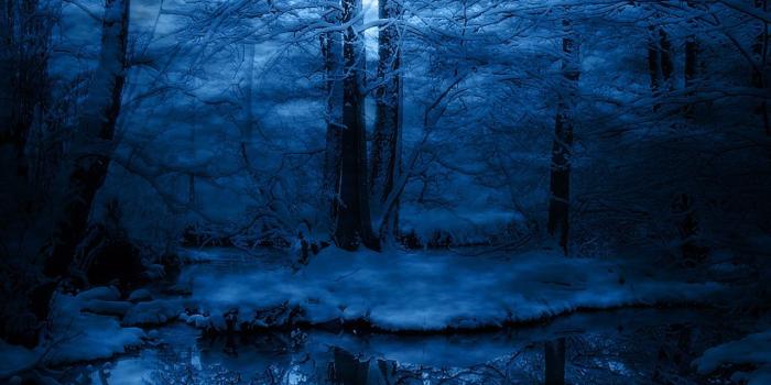 1280x1024 Blue Forest HD Wallpaper 25601 - Baltana