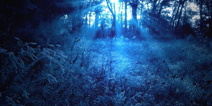 1024x768 Blue Forest HD Desktop Wallpaper 25600 - Baltana