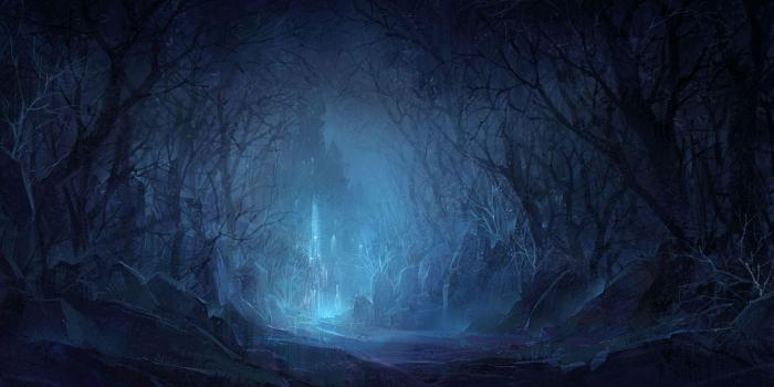 1920x1080 Dark Forest Wallpapers