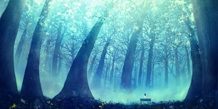 2560x1440 Deep Blue Forest Wallpaper | 2560x1440 | ID:55611