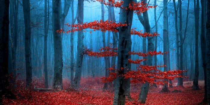 1500x1000 Print a Wallpaper