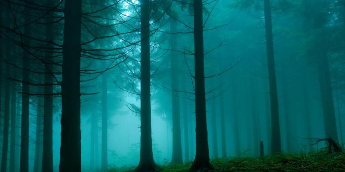 1366x768 Blue Forest Wallpapers - Top Free Blue Forest Backgrounds
