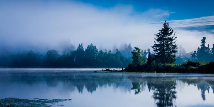 2800x1575 50+ Washington State Wallpapers - Download at WallpaperBro