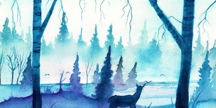 2974x2085 2947768 watercolor deer blue forest mist wallpaper and background