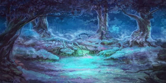 1920x1080 Blue and green forest wallpaper, forest clearing, night, mist