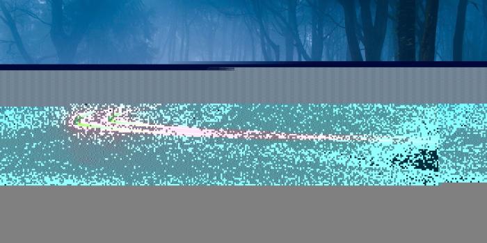 2560x1440 Blue Forest Wallpapers - Top Free Blue Forest Backgrounds