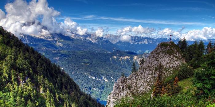 2560x1600 blue forest wallpaper - HD Desktop Wallpapers | 4k HD