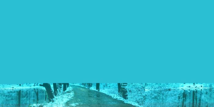 2880x1800 Snowy Forest Wallpaper (70+ pictures)