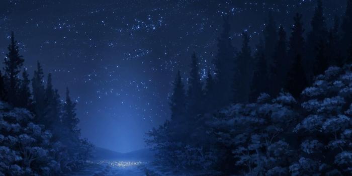 1920x1080 Blue Forest Night HD desktop wallpaper : Widescreen : High
