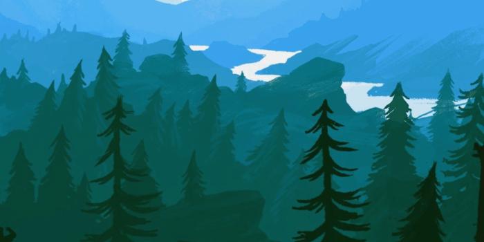 1437x2559 10 Wallpaper Blue forest - Download Wallpaper HD For PC Computer