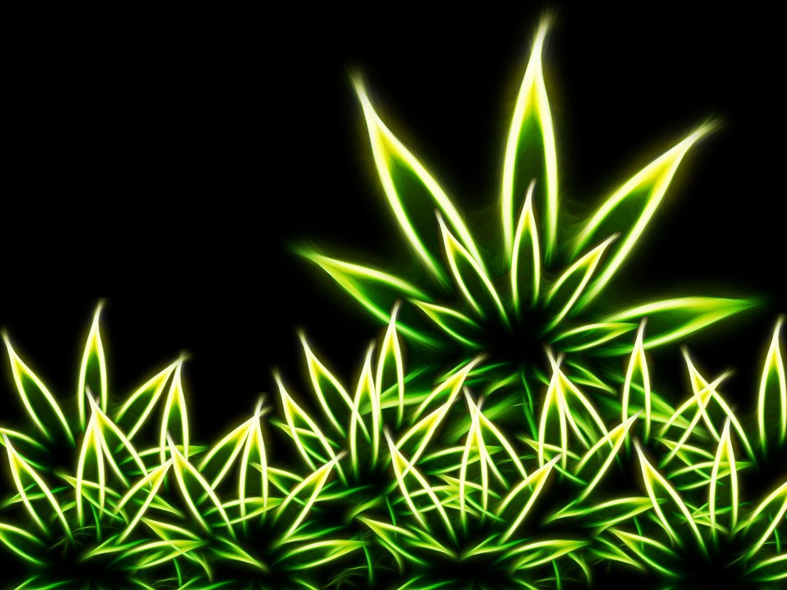 1600x1200 pic new posts: Weed Wallpaper Free