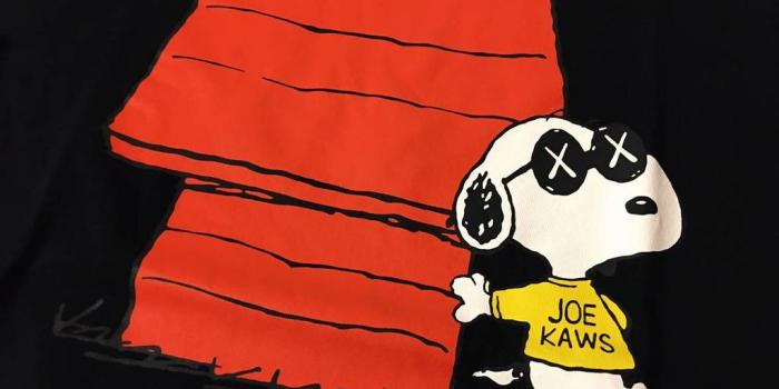 1024x768 KAWS X PEANUTS SHORT-SLEEVE