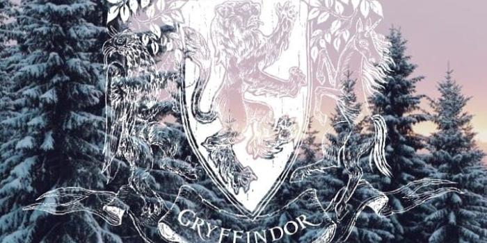 719x1280 Hogwarts Winter Wallpapers - Top Free Hogwarts Winter Backgrounds