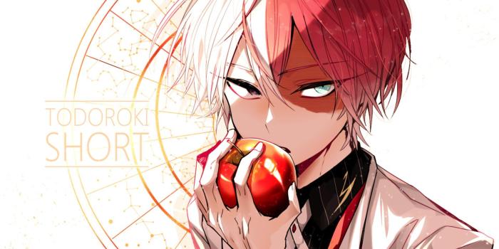 1920x1080 Anime My Hero Academia Shoto Todoroki Wallpaper | Anime Wallpapers