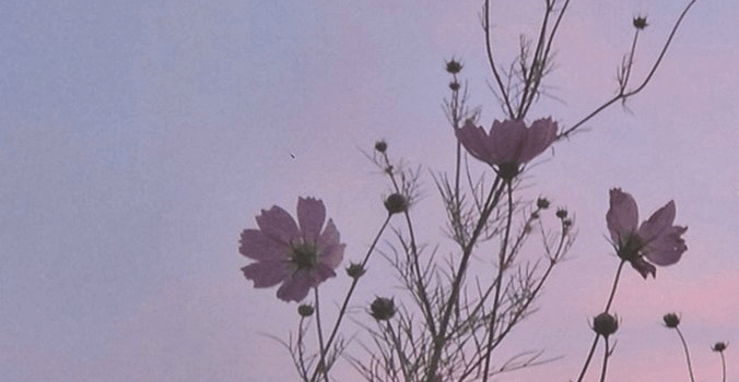 676x1200 Korean Aesthetic Desktop Wallpapers - Top Free Korean Aesthetic