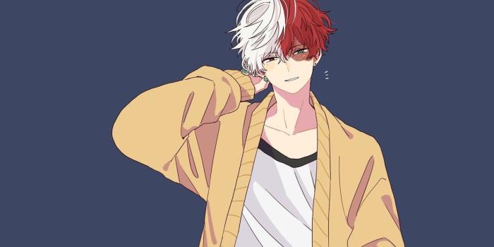1332x850 Wallpaper guy, sweater, Boku No Hero Academy, Todoroki Shoto, My