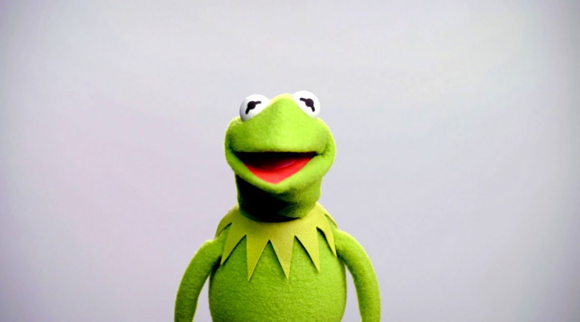 1190x662 Muppets Kermit The Frog Wallpaper | Wallpapers Snipe