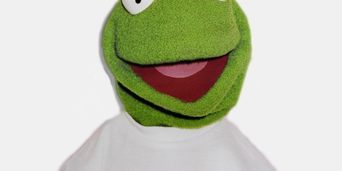 1280x1812 Kermit The Frog ~ But That's None Of My Business - Supreme Kermit