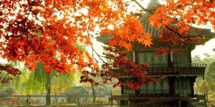 1920x1080 Korean Wallpaper (60+ images)