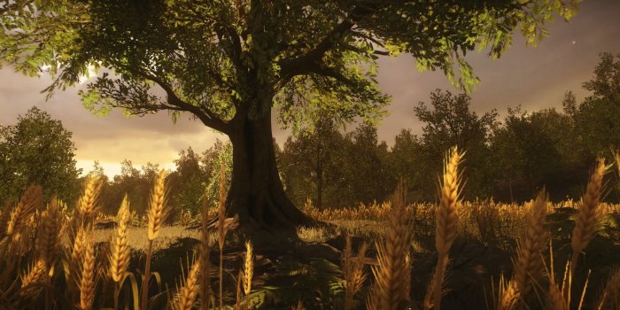 1920x1080 Walk Into the Light: Everybody's Gone to the Rapture – Analog Input