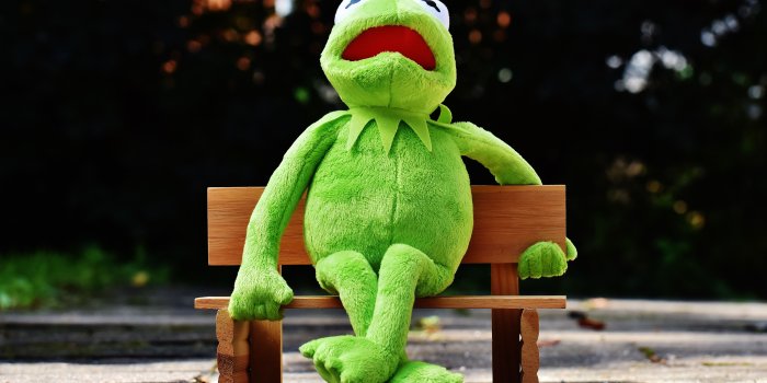 5672x3608 kermit the frog plush toy free image | Peakpx
