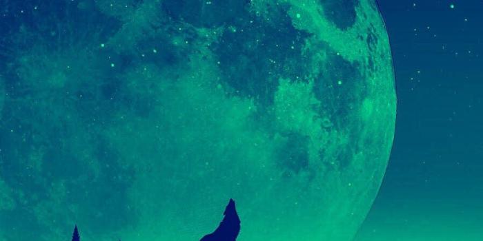 900x1600 Another dope wallpaper for y'all T-Wolves fans! : timberwolves