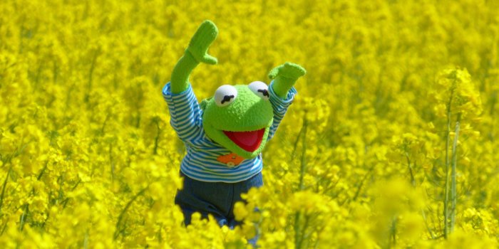 3840x2880 Kermit the Frog Wallpapers - Top Free Kermit the Frog Backgrounds