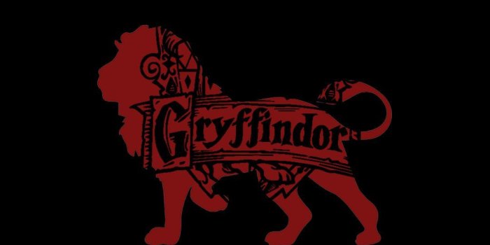 1080x1920 80+ Gryffindor Wallpapers on WallpaperPlay