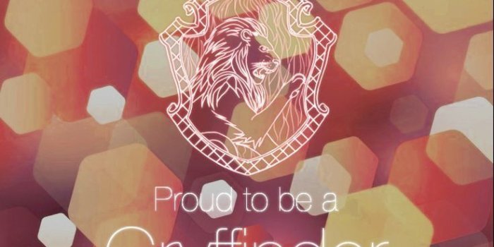 736x1377 Gryffindor | Harry Potter | Harry potter wallpaper, Harry potter