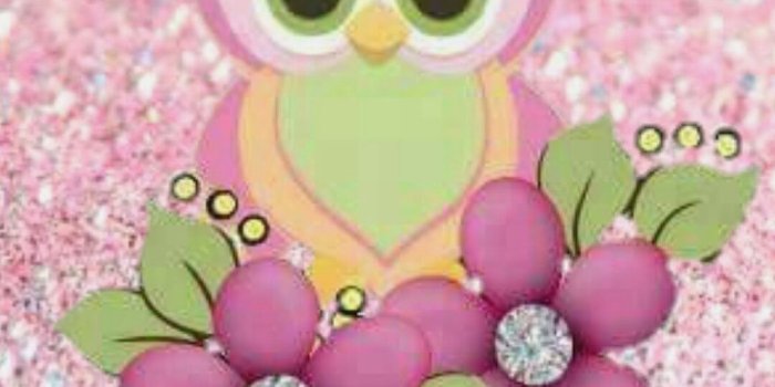 1080x1920 10 Wallpaper Cute Pink Owl - Download Wallpaper HD For PC Computer