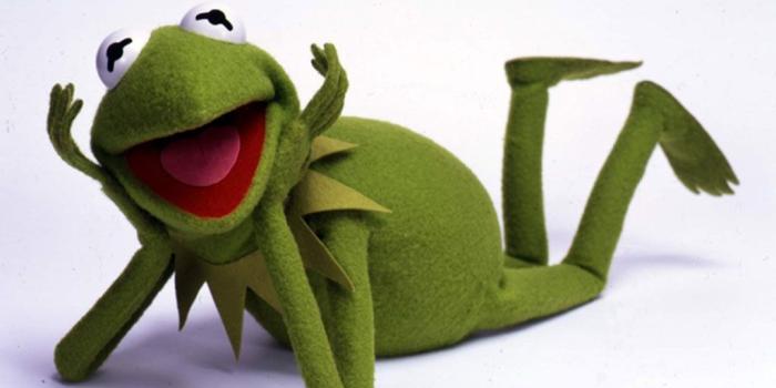 1024x768 frogs kermit the frog the muppet show 1024x768 wallpaper – Animals