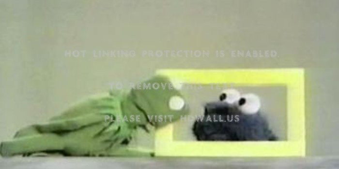 1440x900 cookie monster kermit the frog