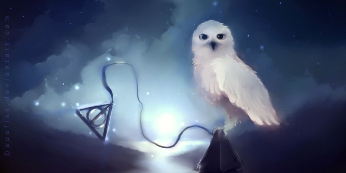 1920x1080 55+ Hedwig Wallpapers - Download at WallpaperBro