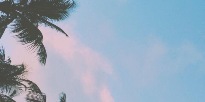 1080x1920 HD Dope Wallpapers (83+ images)