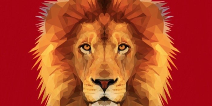 1080x1920 Gryffindor Wallpapers (72+ background pictures)