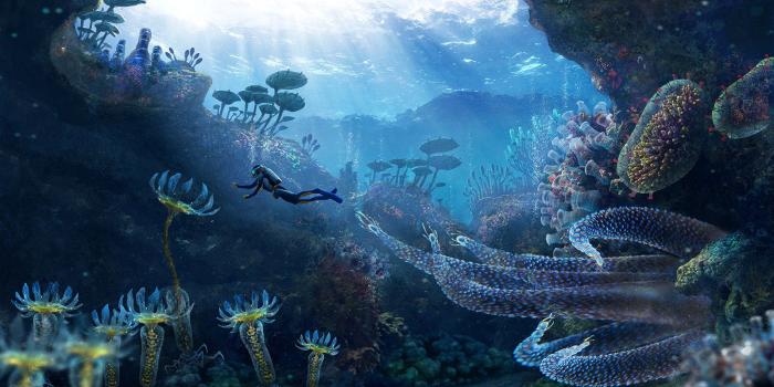 1600x900 Subnautica HD Wallpapers and Background Images - stmed.net