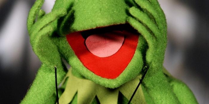 2086x2754 kermit the frog the muppet show 2086x2754 wallpaper – Animals Frogs