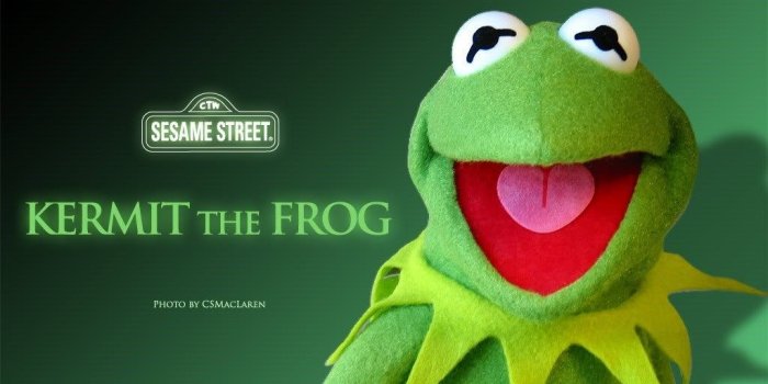 1024x768 Famous Kermit Quotes. QuotesGram Desktop Background