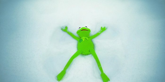 1920x1080 Best 45+ Kermit the Frog Background on HipWallpaper | Elmo Kermit