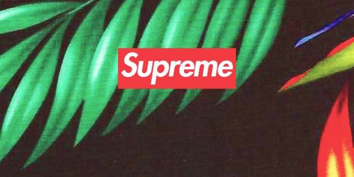 750x1334 Hypebeast Wallpapers - Top Free Hypebeast Backgrounds - WallpaperAccess