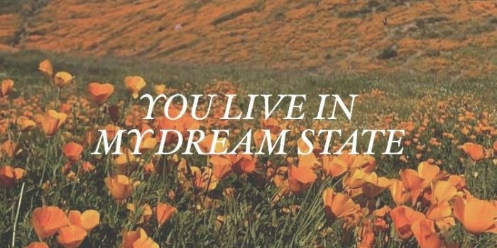 750x1334 aesthetic #aestheticwallpaper #iphonewallpaper #iphone Aesthetic