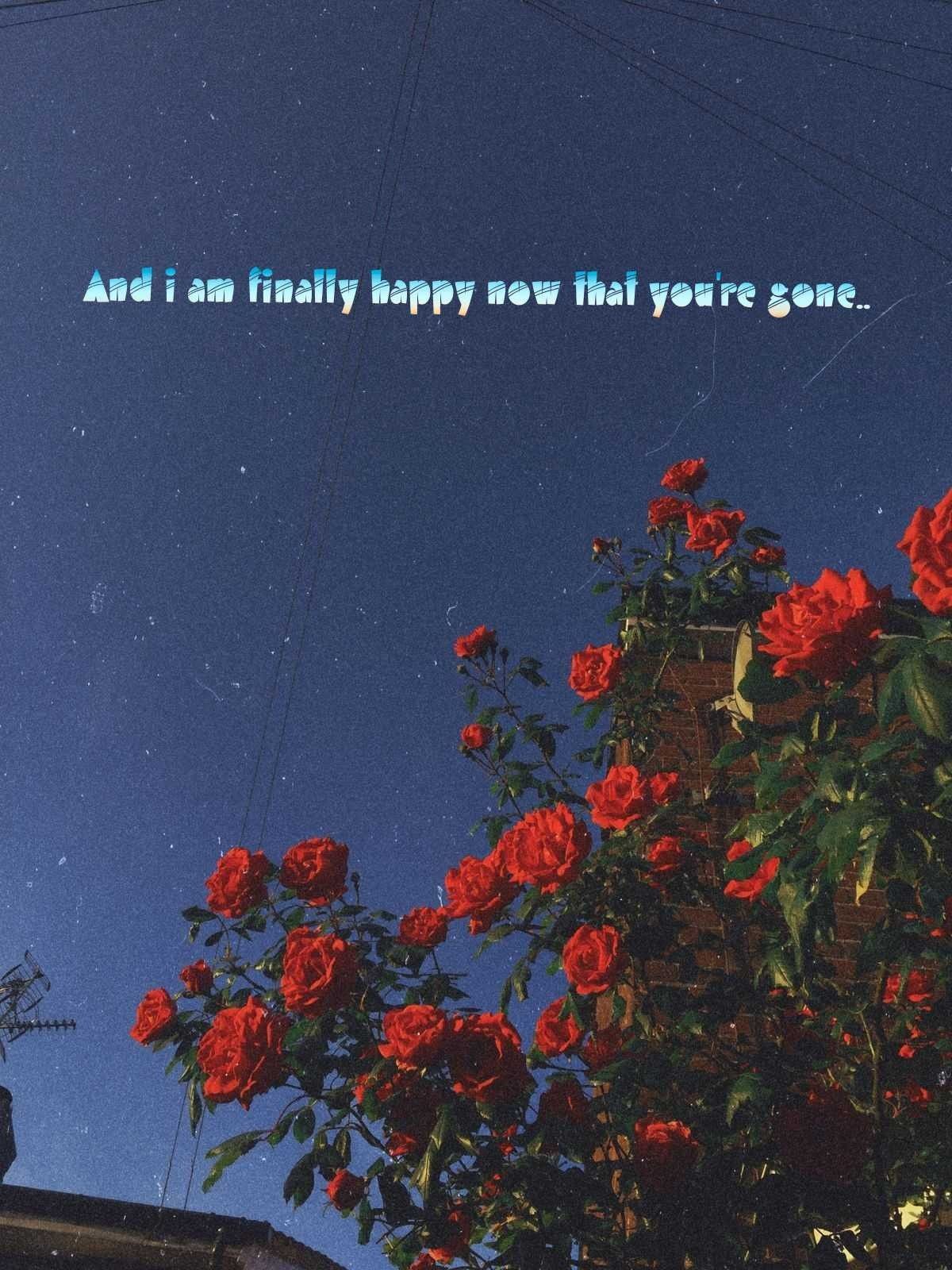 1200x1600 Vintage aesthetic | pics in 2019 | Flower aesthetic, Aesthetic