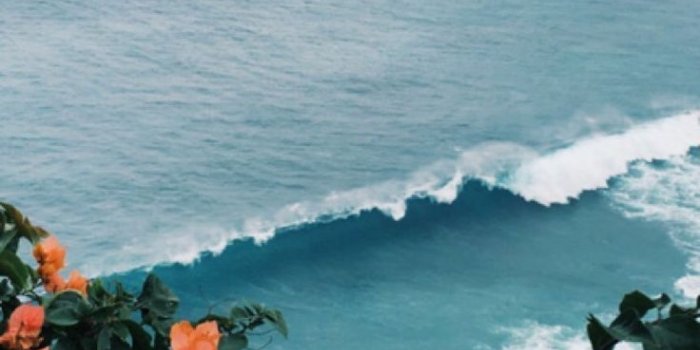 736x1309 Vintage Aesthetic Wallpapers - Top Free Vintage Aesthetic