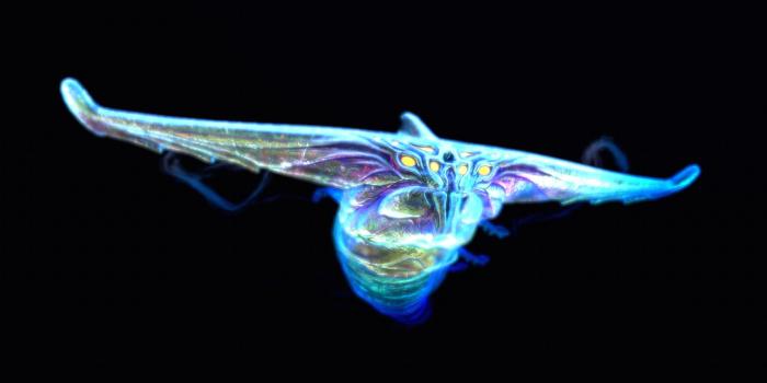 1920x1080 Ghost Leviathan wallpaper, screenshot by me in-game (1080p HD