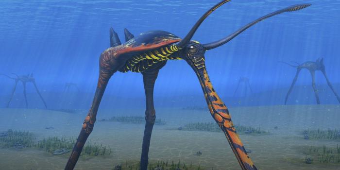 1332x850 Wallpaper the bottom, being, Subnautica images for desktop, section