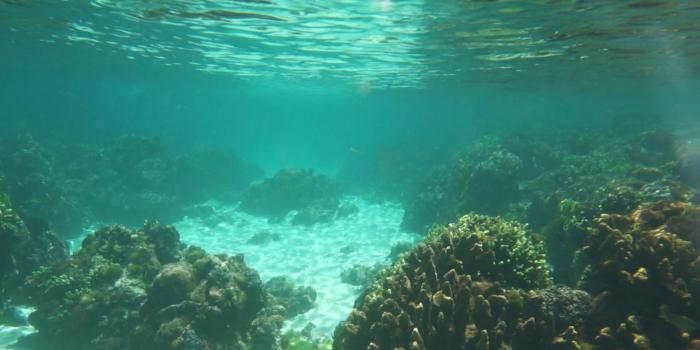 1920x1080 Subnautica HD Wallpaper 24 - 1920 X 1080