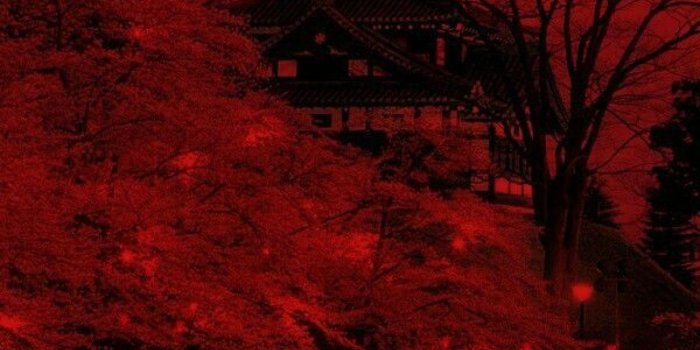 1368x855 pinterest octwilight * red Red aesthetic, Red wallpaper | Gardening